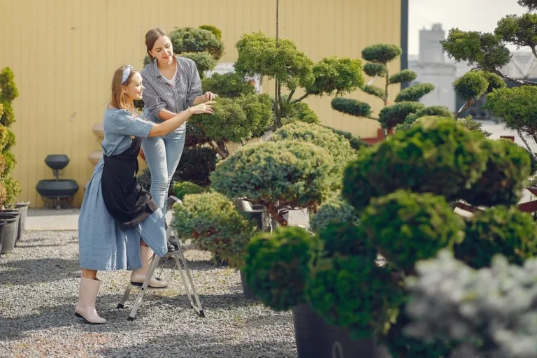 Topiary Trees