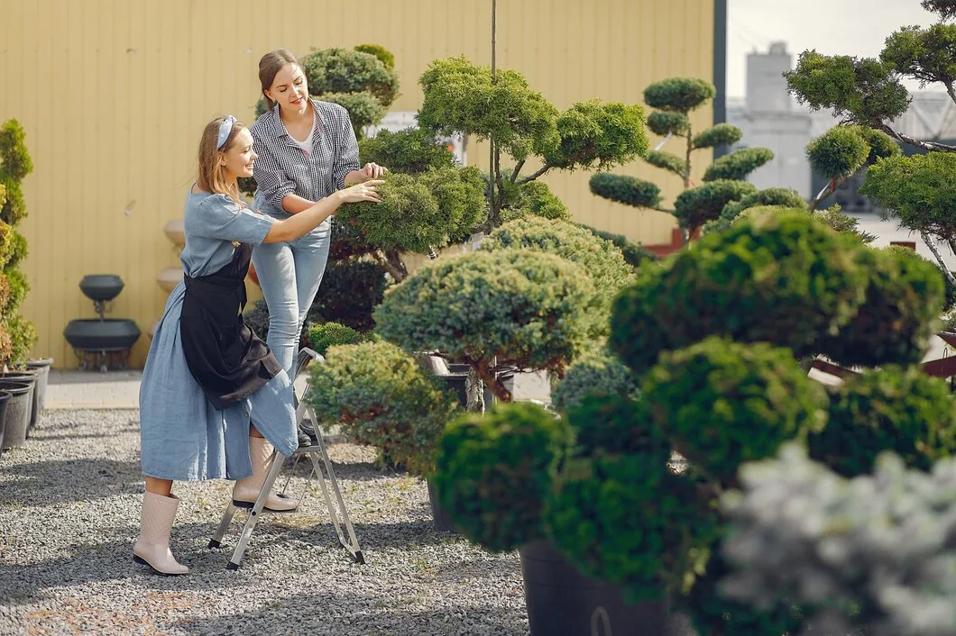 Topiary Trees